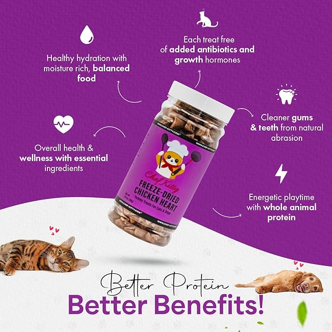 Freeze-Dried Chicken Heart Treats for Cats & Dogs – 100% Human Grade, Single Ingredient, High-Protein, Healthy Snack – No Additives or Preservatives – 1.4oz - Inspected & Tested in USA