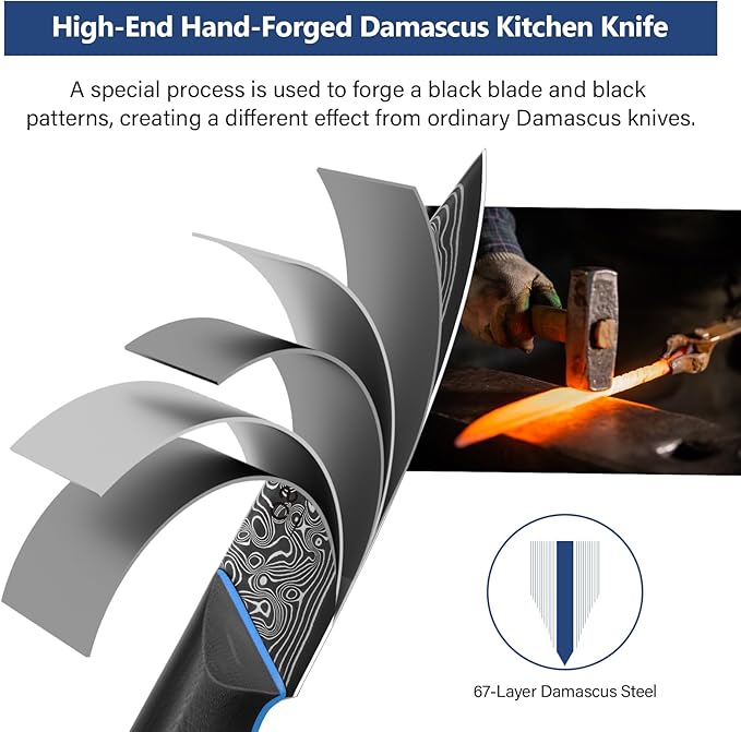 3.75 Inch Paring Knife, Fruit Knives with G10 Handle, 67-Layer Japanese Damascus Steel Forged Small Kitchen Knife, Ultra Sharp Knves with Exquisite Package