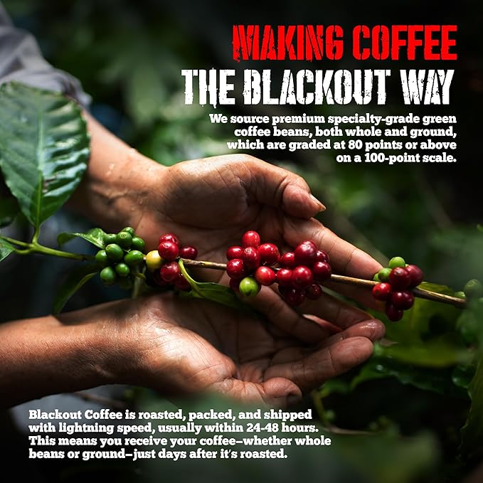 Blackout Coffee Cinnamon French Toast Flavored Coffee Pods – Single Serve Coffee Pods, Smooth Taste, Indulgent Flavor – Freshly Roasted 18 Count, American Made