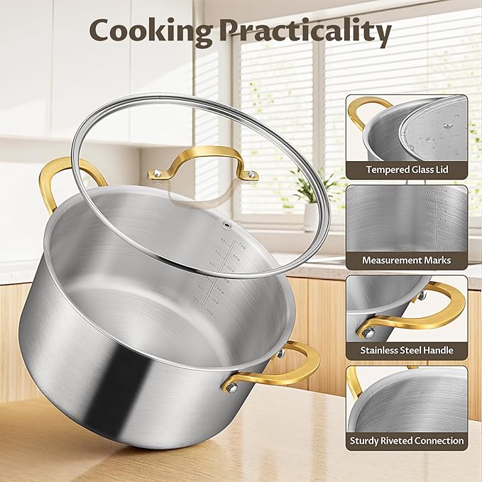 BEZIA 6 Quart Fully-Clad 3-Ply Stainless Steel Stockpot, Soup Pot with Lid, Even Heat Distribution, Cooking Pot with Sturdy Handles, Compatible with All Cooktops, Perfect for Soups & Stews, Silver