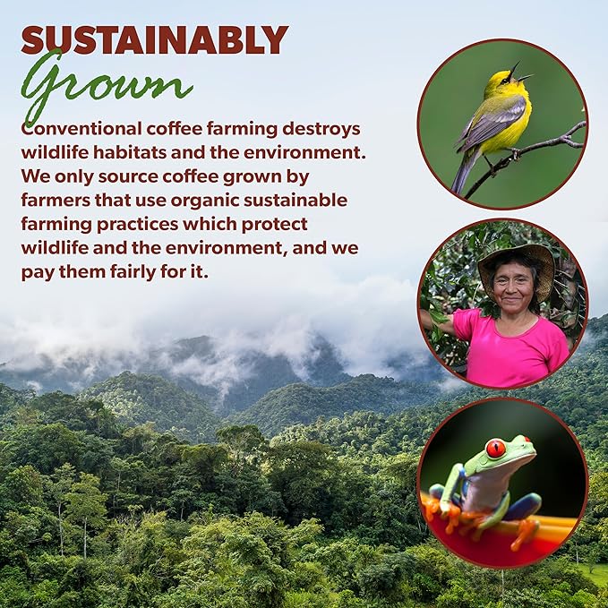 Low Acid Organic Coffee – Whole Bean, Mold-Free & Stomach Friendly by Java Planet, Ethiopian Single Origin Coffee, Medium Roast, Smooth Full Flavored, 5LB Bag