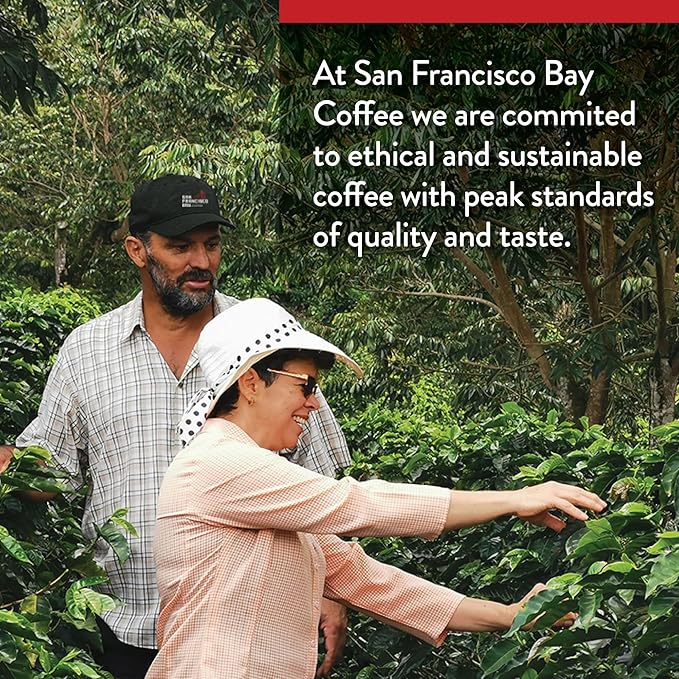 San Francisco Bay Ground Coffee - Cold Brew (28oz Bag), Light Roast